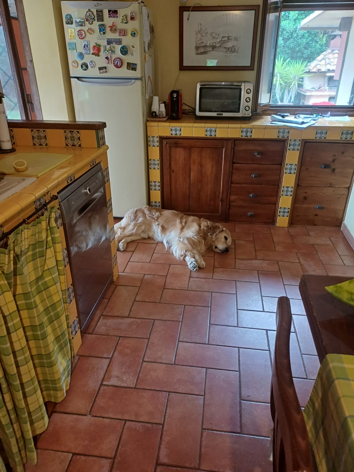 Esclusiva Proprietà immersa nella Maremma Toscana vicino ad Ansedonia
