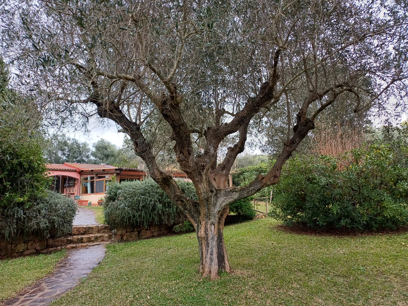 Esclusiva Proprietà immersa nella Maremma Toscana vicino ad Ansedonia
