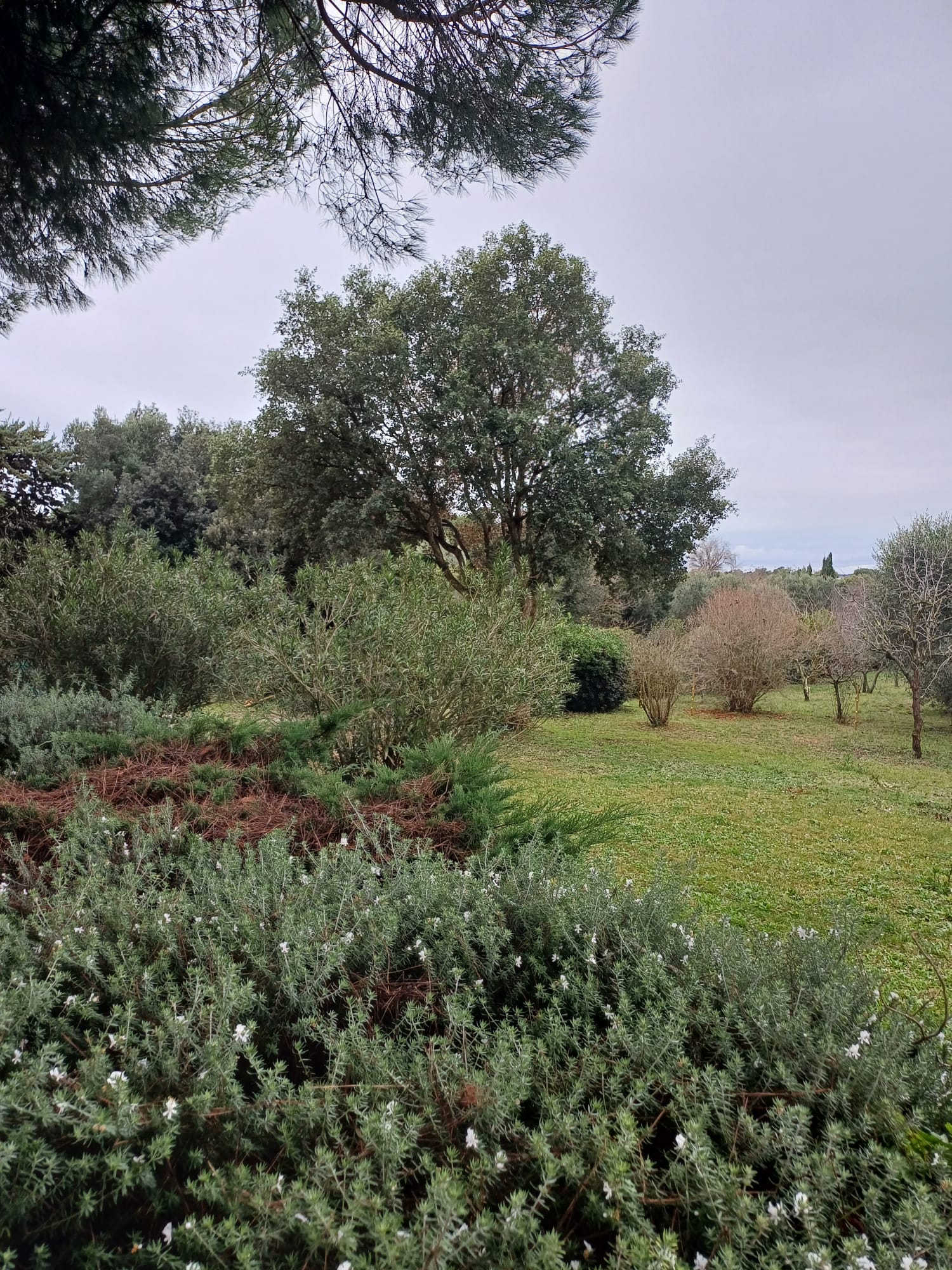 Esclusiva Proprietà immersa nella Maremma Toscana vicino ad Ansedonia
