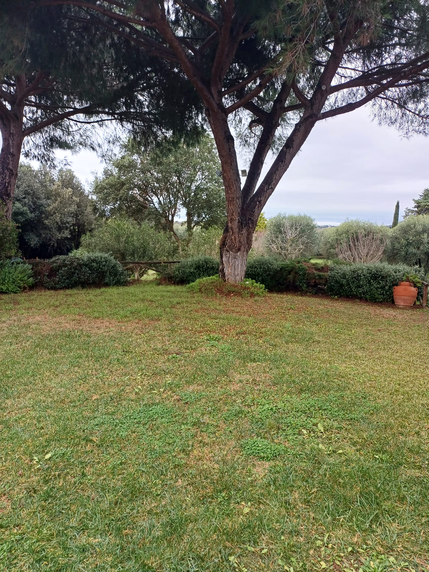Esclusiva Proprietà immersa nella Maremma Toscana vicino ad Ansedonia