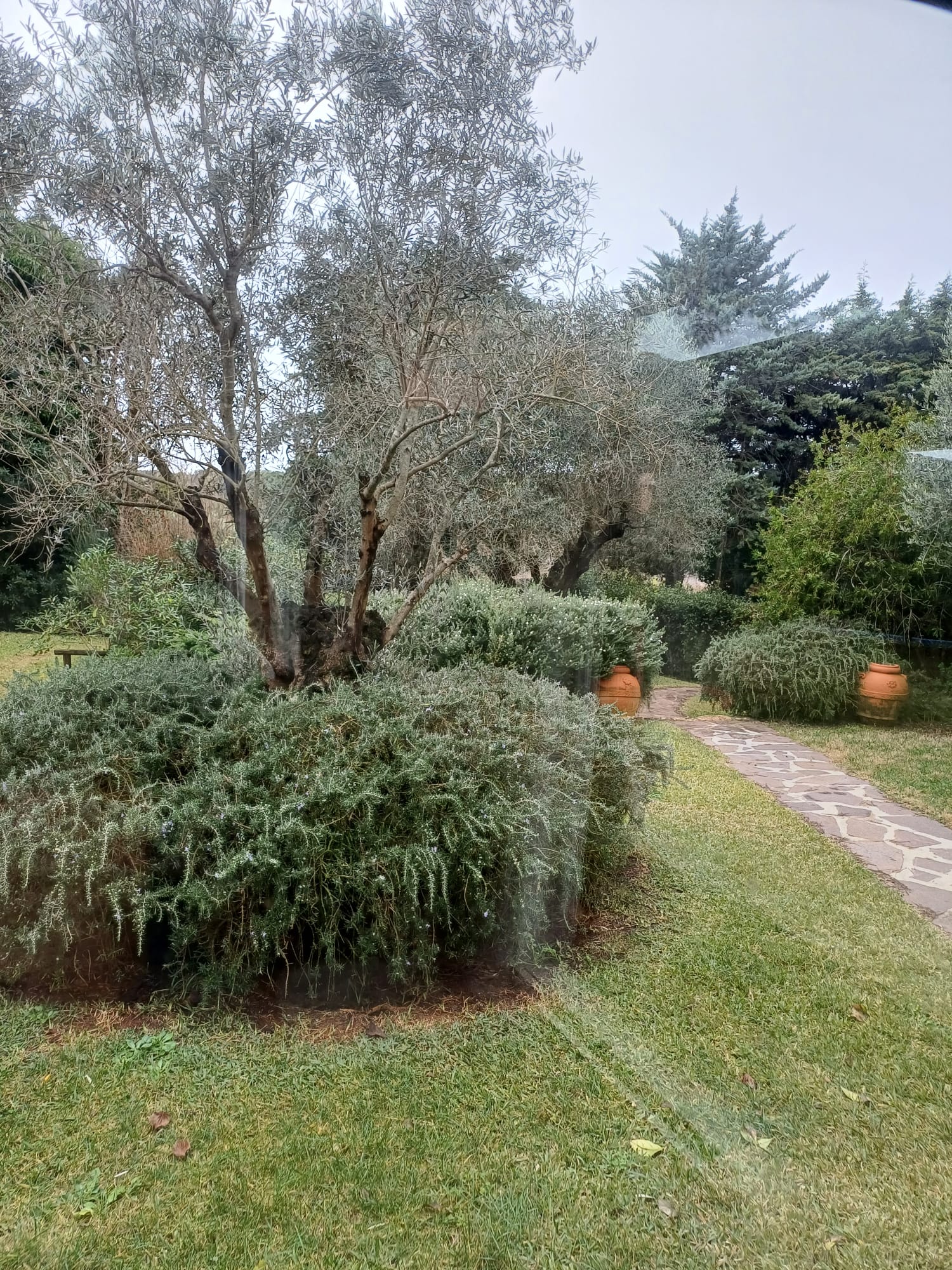 Esclusiva Proprietà immersa nella Maremma Toscana vicino ad Ansedonia