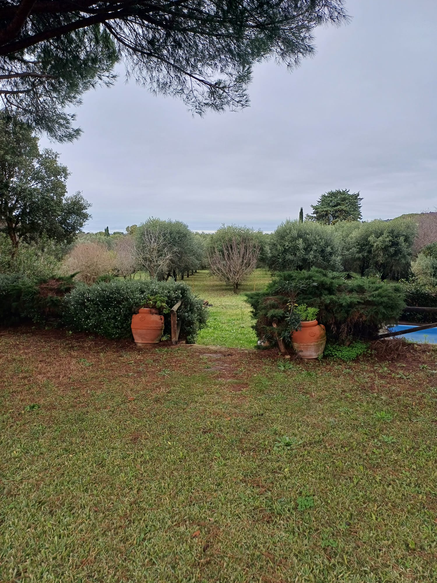 Esclusiva Proprietà immersa nella Maremma Toscana vicino ad Ansedonia