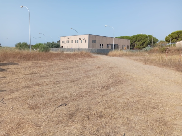 Terreno artigianale/commerciale edificabile Capalbio