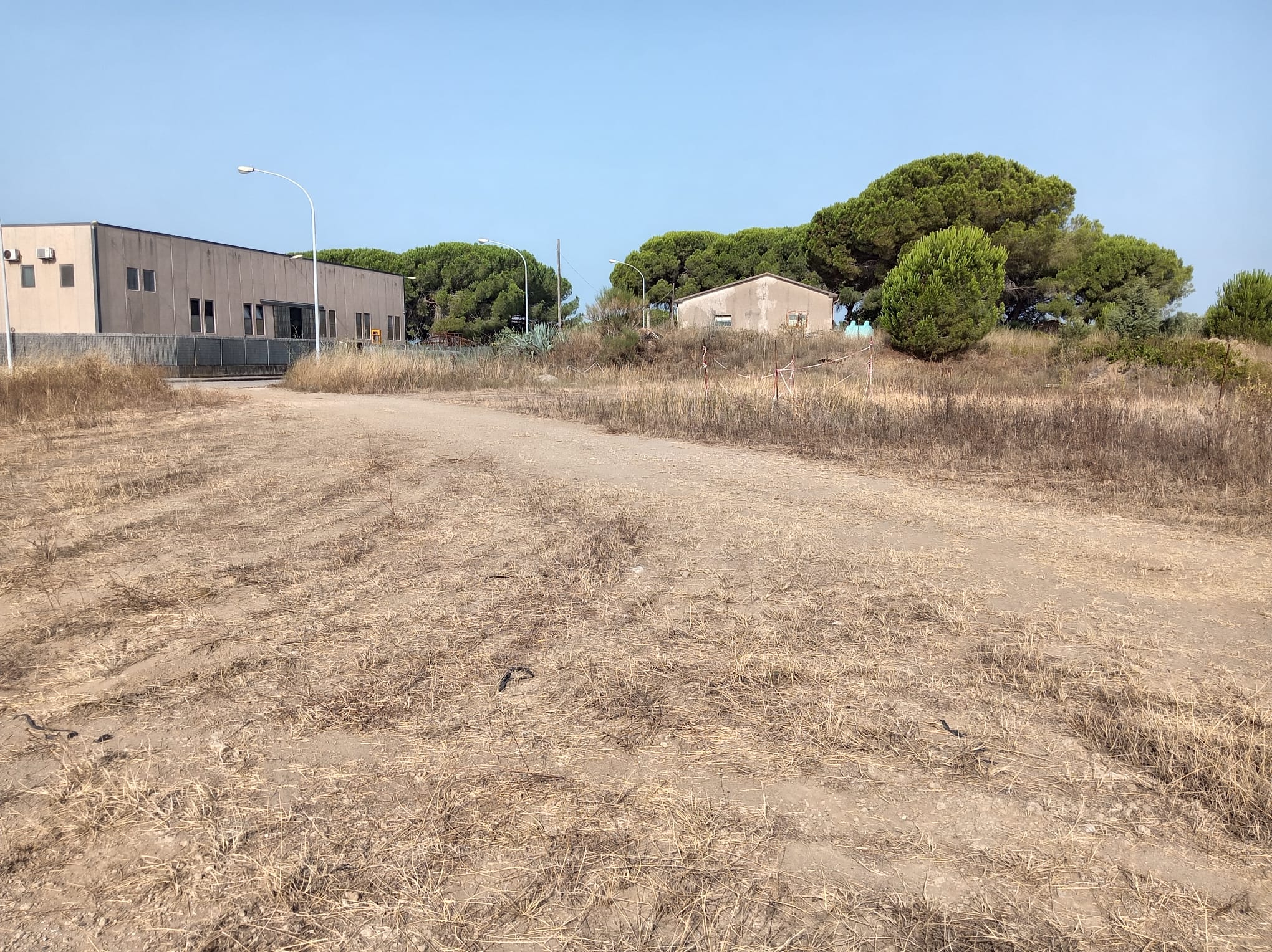Terreno artigianale/commerciale edificabile Capalbio