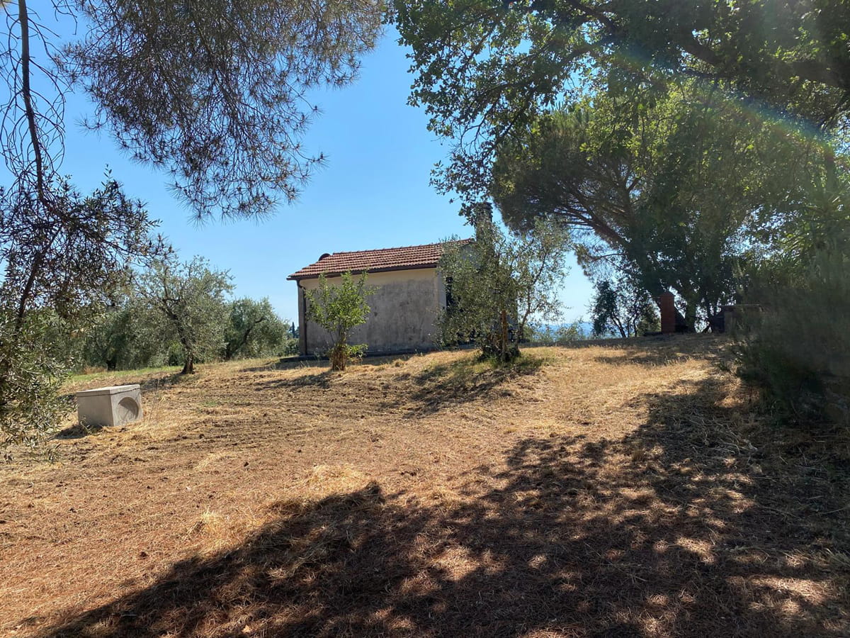 Terreno agricolo panoramico – Scansano (GR)