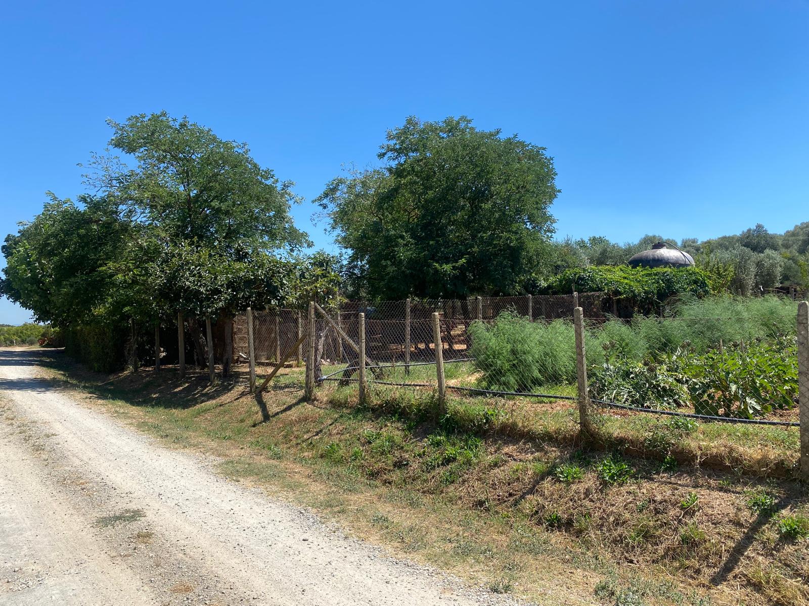 Casale Indipendente con giardino – Località Priorato Alto – Orbetello (GR)