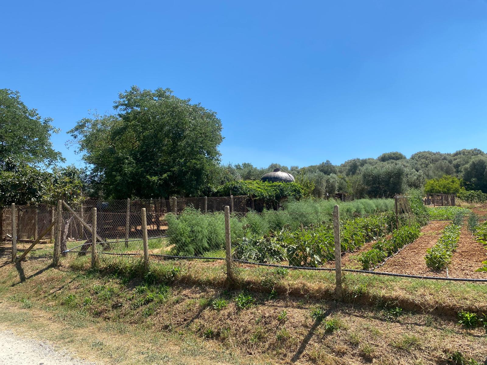Casale Indipendente con giardino – Località Priorato Alto – Orbetello (GR)