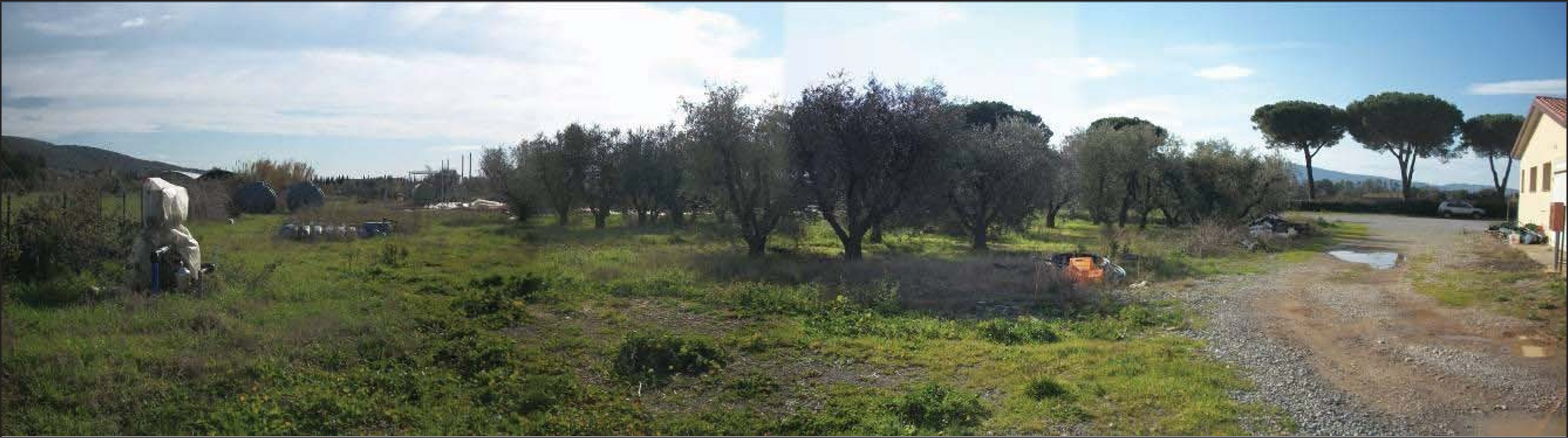 Area vivaistica attrezzata Orbetello